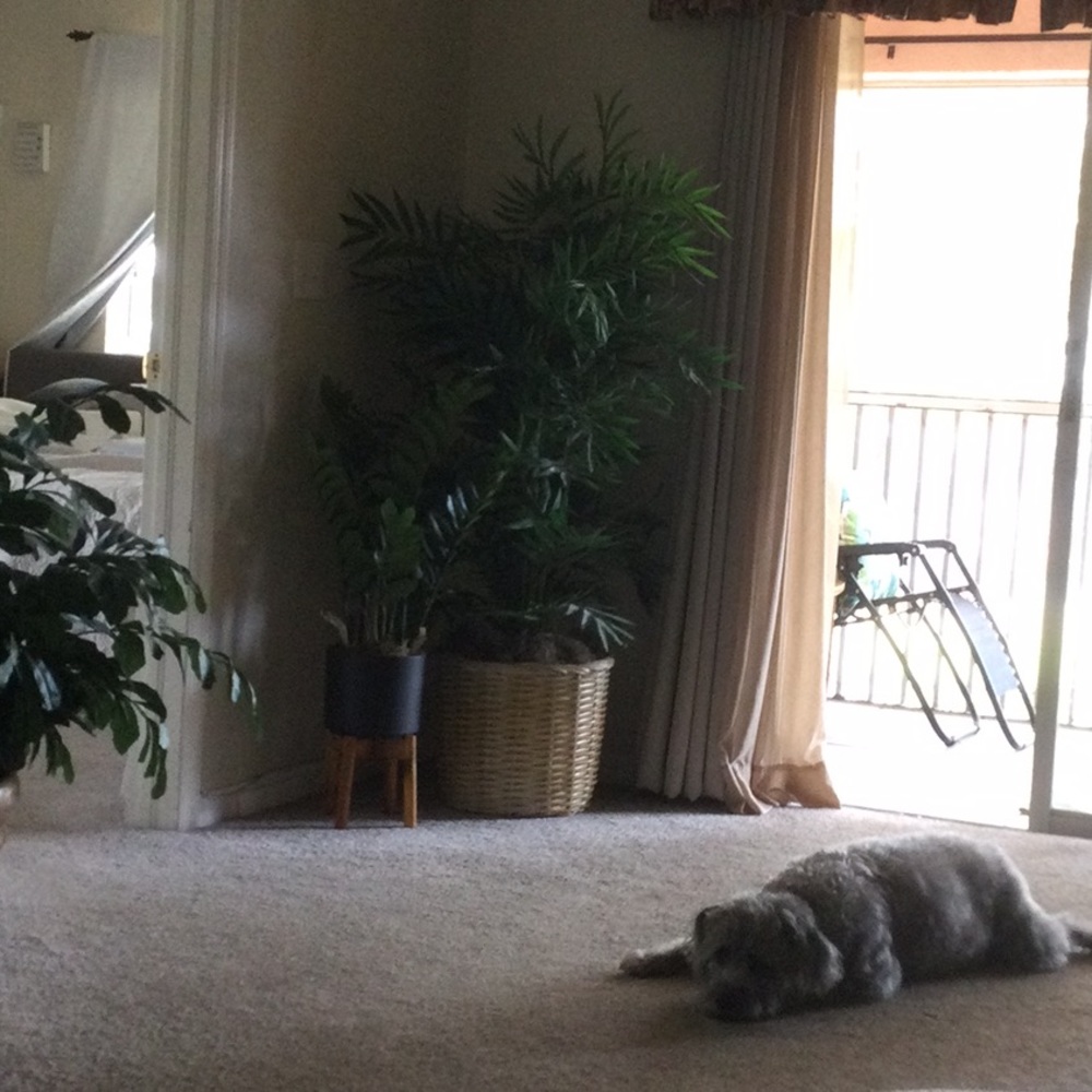 Meet your Posher, Michele